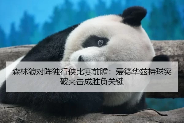 森林狼对阵独行侠比赛前瞻：爱德华兹持球突破夹击成胜负关键