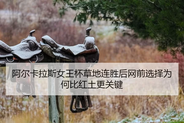 a-er-ka-la-si-nv-wang-bei-cao-di-lian-sheng-hou-wang-qian-xuan-ze-wei-he-bi-hong-tu-geng-guan-jian-2-721.jpg