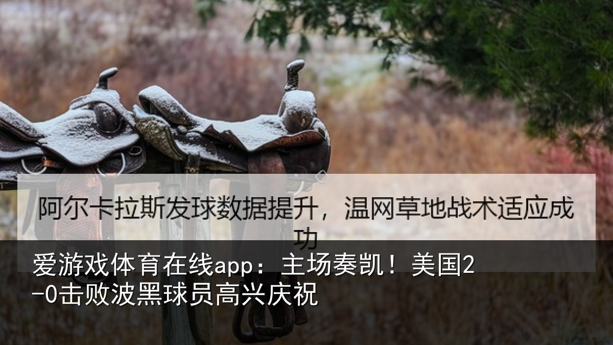 爱游戏体育在线app:主场奏凯!美国2-0击败波黑球员高兴庆祝