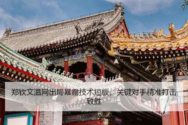 zheng-qin-wen-wen-wang-chu-ju-bao-lu-ji-shu-duan-ban-guan-jian-dui-shou-jing-zhun-da-ji-zhi-sheng-3-119.jpg