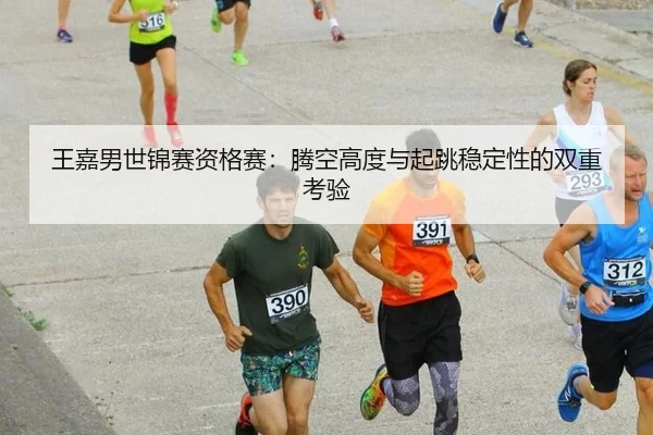 王嘉男世锦赛资格赛：腾空高度与起跳稳定性的双重考验