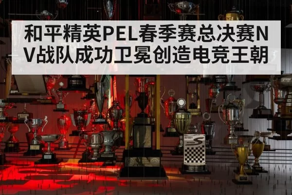 和平精英PEL春季赛总决赛NV战队成功卫冕创造电竞王朝